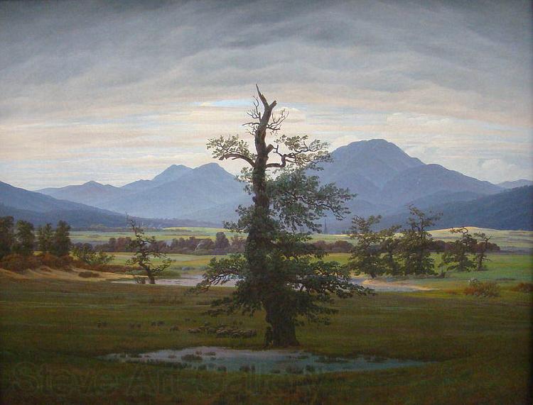 Caspar David Friedrich Landscape with Solitary Tree Norge oil painting art